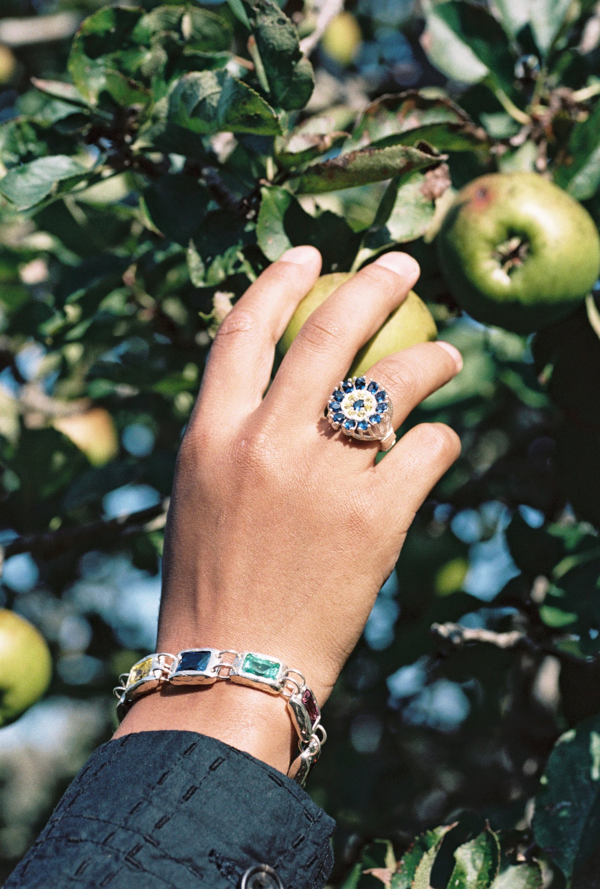 The Rose Bracelet - Silver - Multi